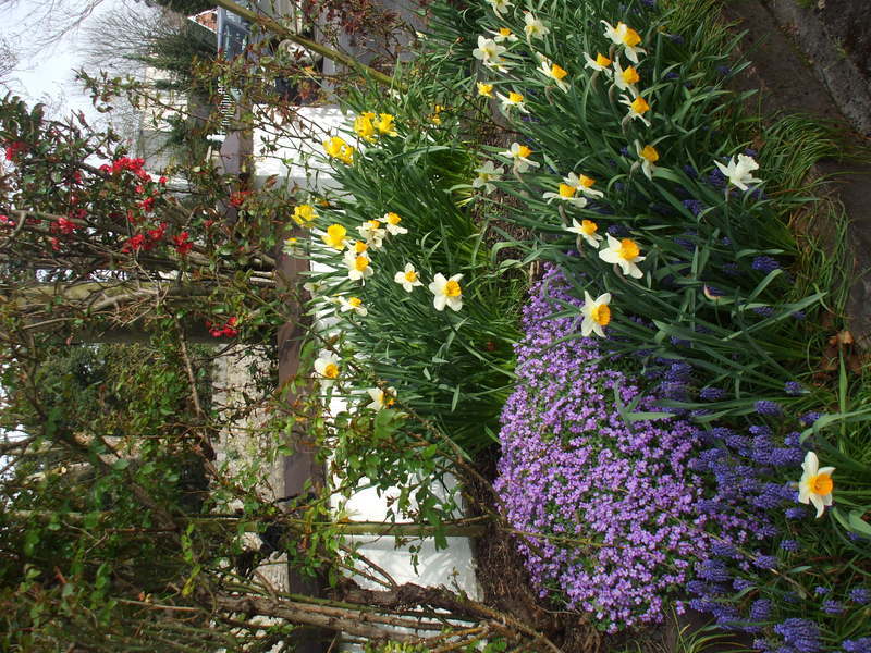 Hotel Mena House Kilkenny Exterior foto